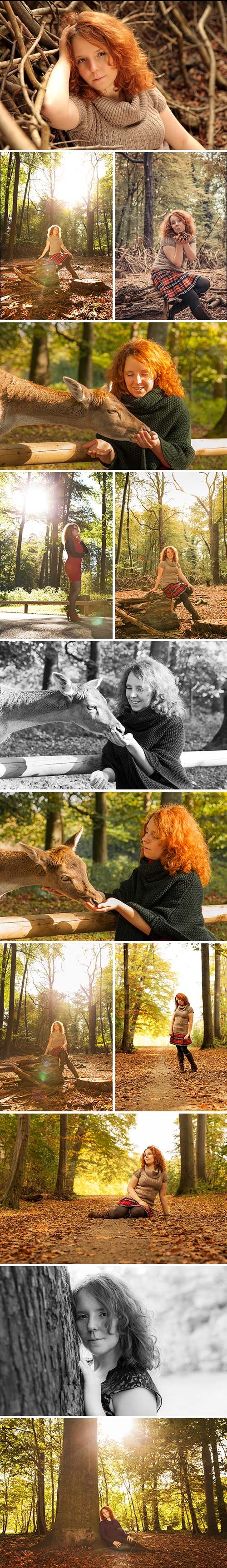 herbstfotografie